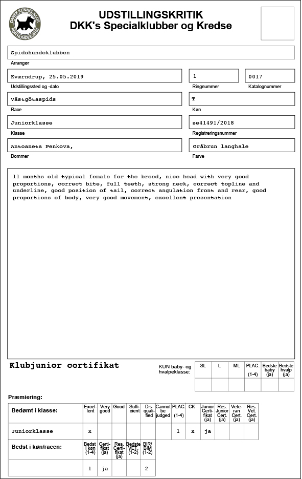 Everotts Siggärd Runsten also got a Klubjuniorcertificate.